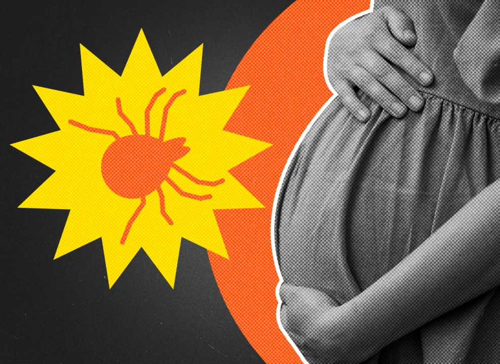 Коллаж с использованием фото: Victoria Moloman | Shutterstock | Fotodom