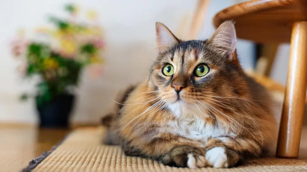    Фото: Sergey/shutterstock.com