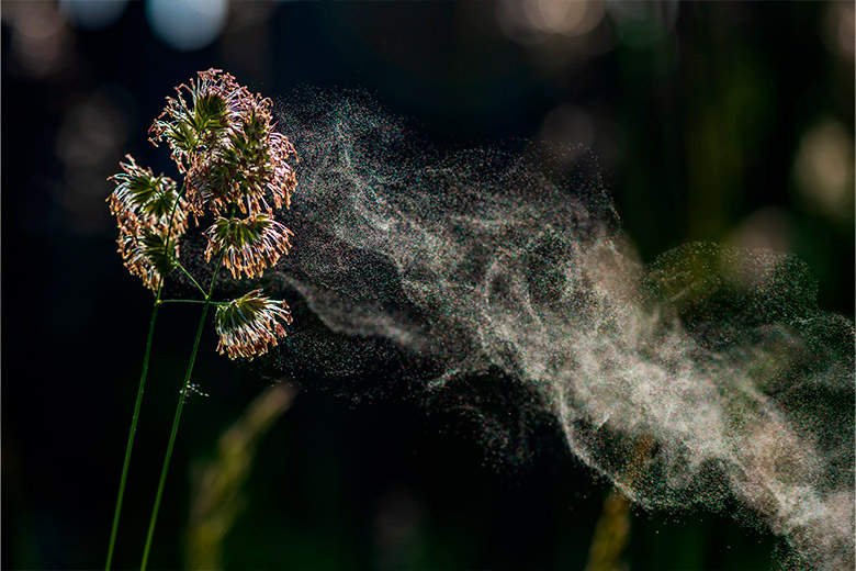    Shutterstock/FOTODOM