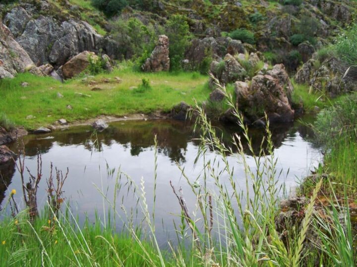    Фото:freeimages.com