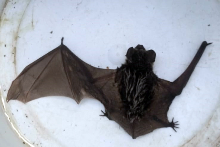    Фото Алексея Яновского специально для VN.ru