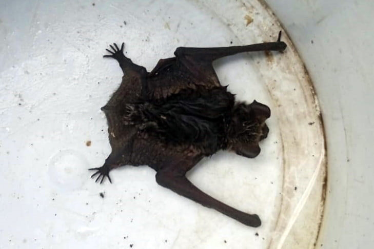 © Фото VN.ru.📷
