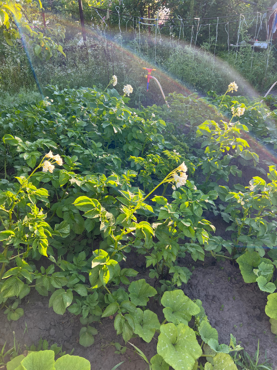 Личное фотот 