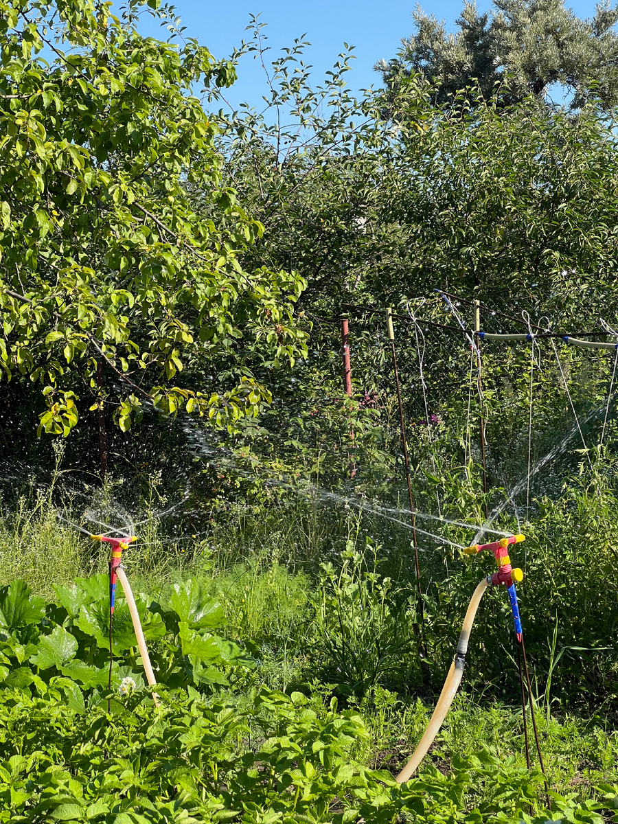 Личное фото. 