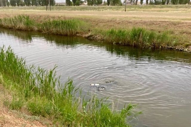    Фото: Служба спасения Волгоградской области