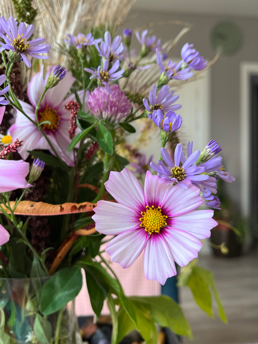 Мой дом. Фото автора 