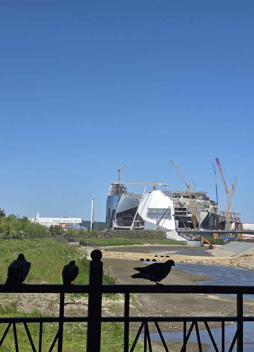 Пернатые наблюдатели