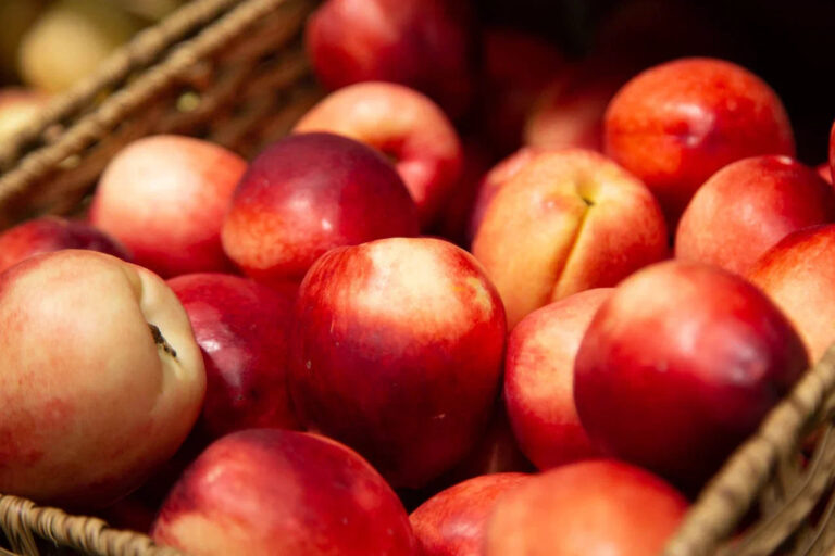    Фото: Общественная Служба Новостей Илья Федоров