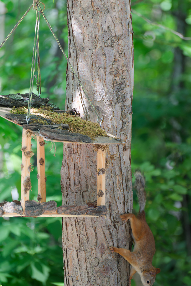 Фото автора. Жители Новосибирского зоопарка им.Р.А. Шило.