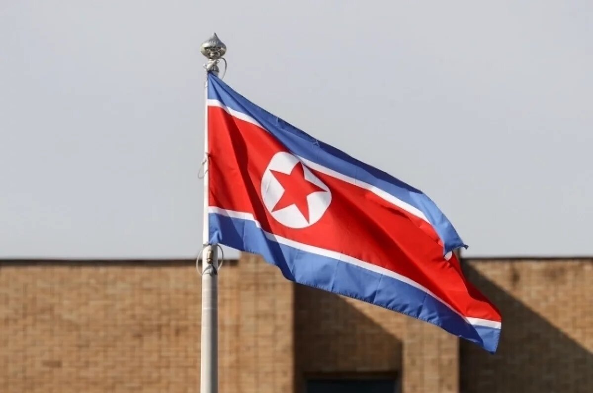    В МИД КНДР заявили о поддержке политики по защите суверенитета России
