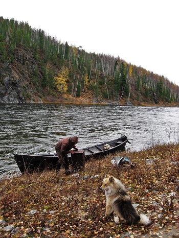 Фотографии Татьяны Немшановой. В тайге Крайнего Севера Западной Сибири ХМАО Югра. На осневке. охота в тайге. Таежник. Лайка Дружок. Охотник. Лодка деревяшка горнячка. Река Манья. Манья Чигим.