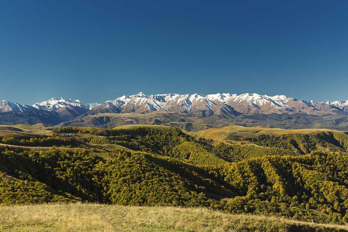 Фото из Яндекса