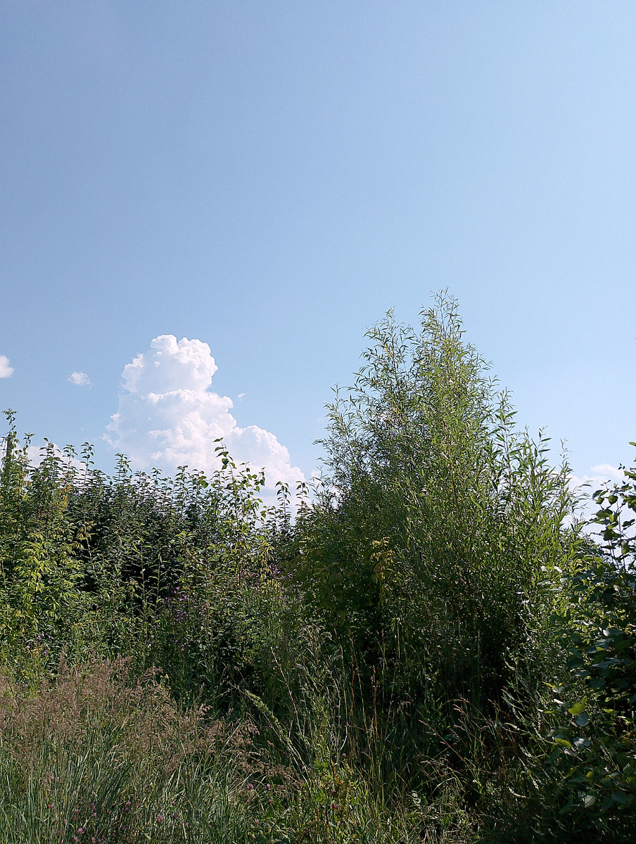 Источник:личное фото