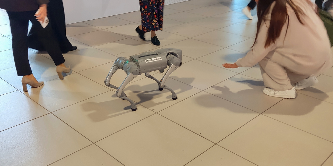 Что я увидела на ИННОПРОМ 2025: мои впечатления и открытия на выставке будущего