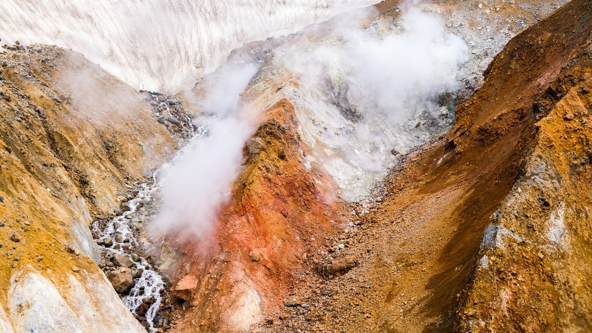 Фото: Mariya Tereshkova / Unsplash