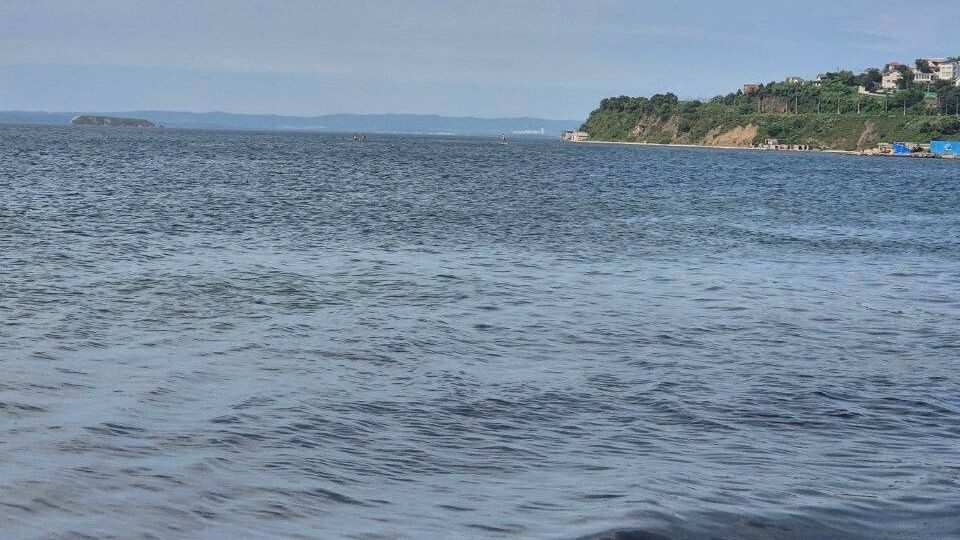     Источник: vdk_tiger_vladivostok