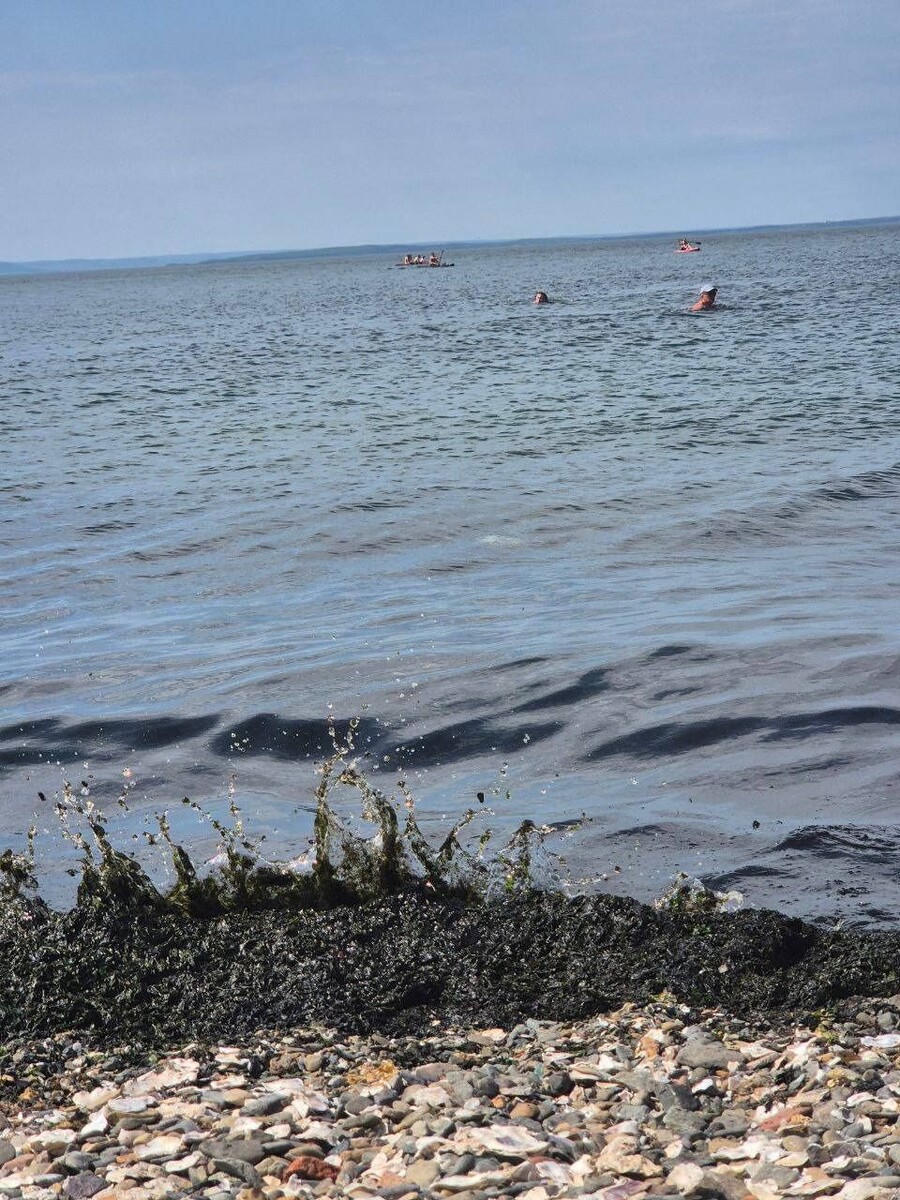     Источник: vdk_tiger_vladivostok