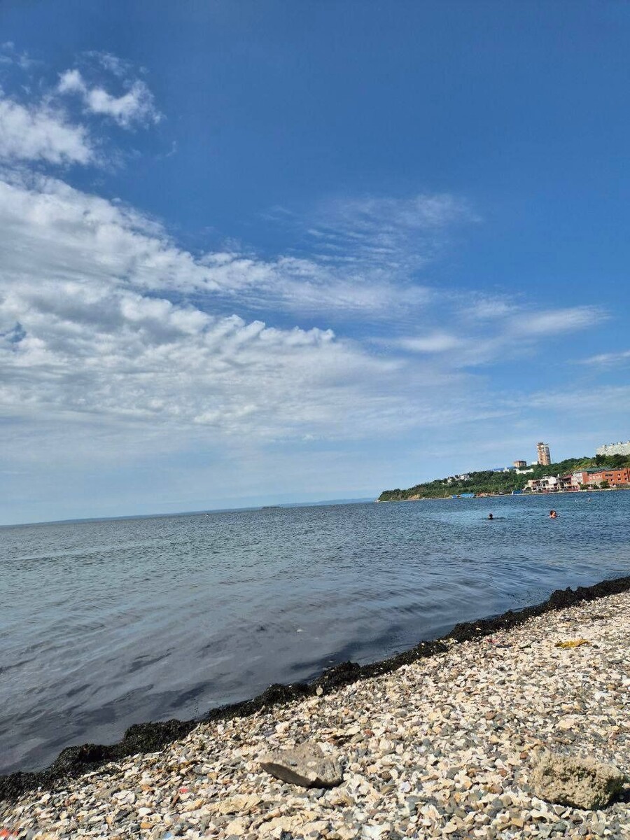     Источник: vdk_tiger_vladivostok