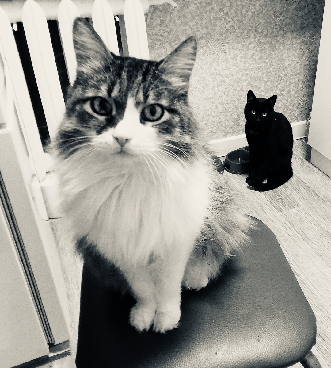 Последнее фото