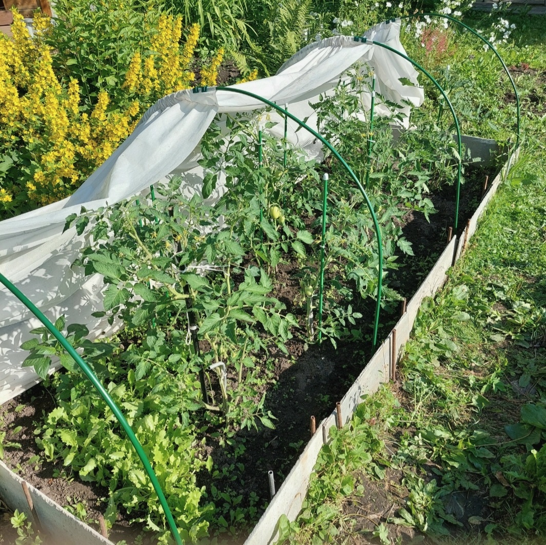 Фото автора.