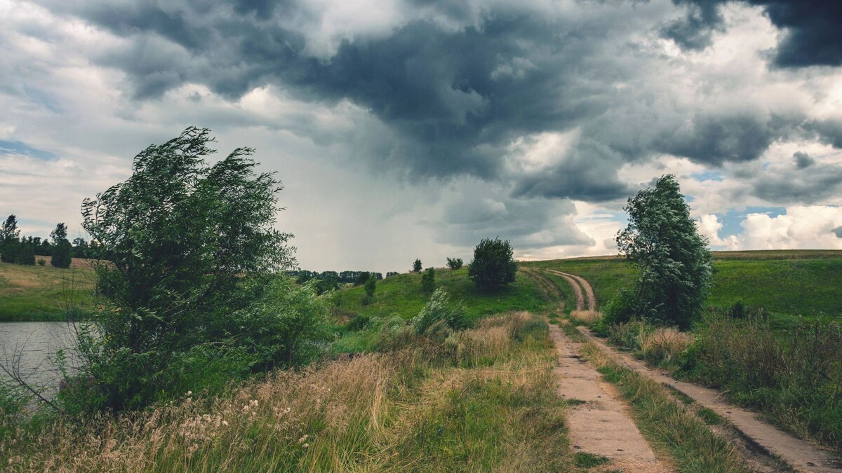   Фото: Valeriy Boyarskiy / Shutterstock / Fotodom