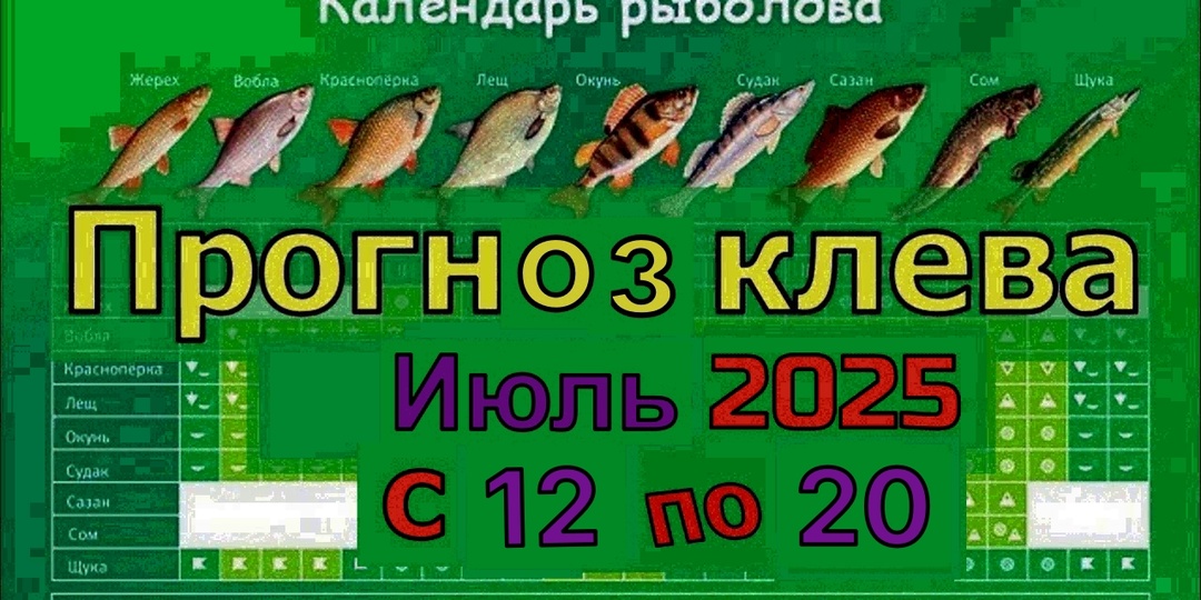 Прогноз клева рыбы с 12 по 20 июля 2025 года: что ожидать рыболовам