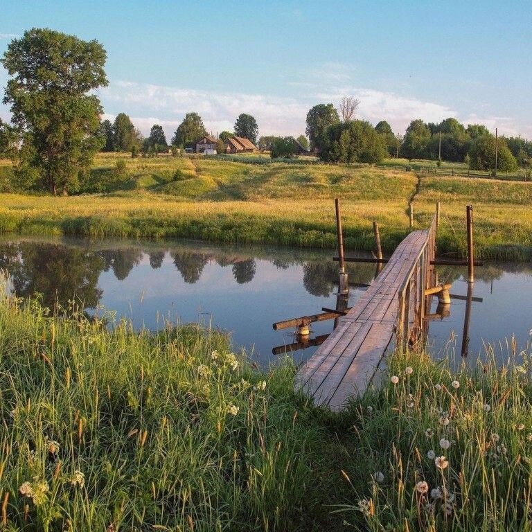 (Фото взято из открытого источника сети интернета)