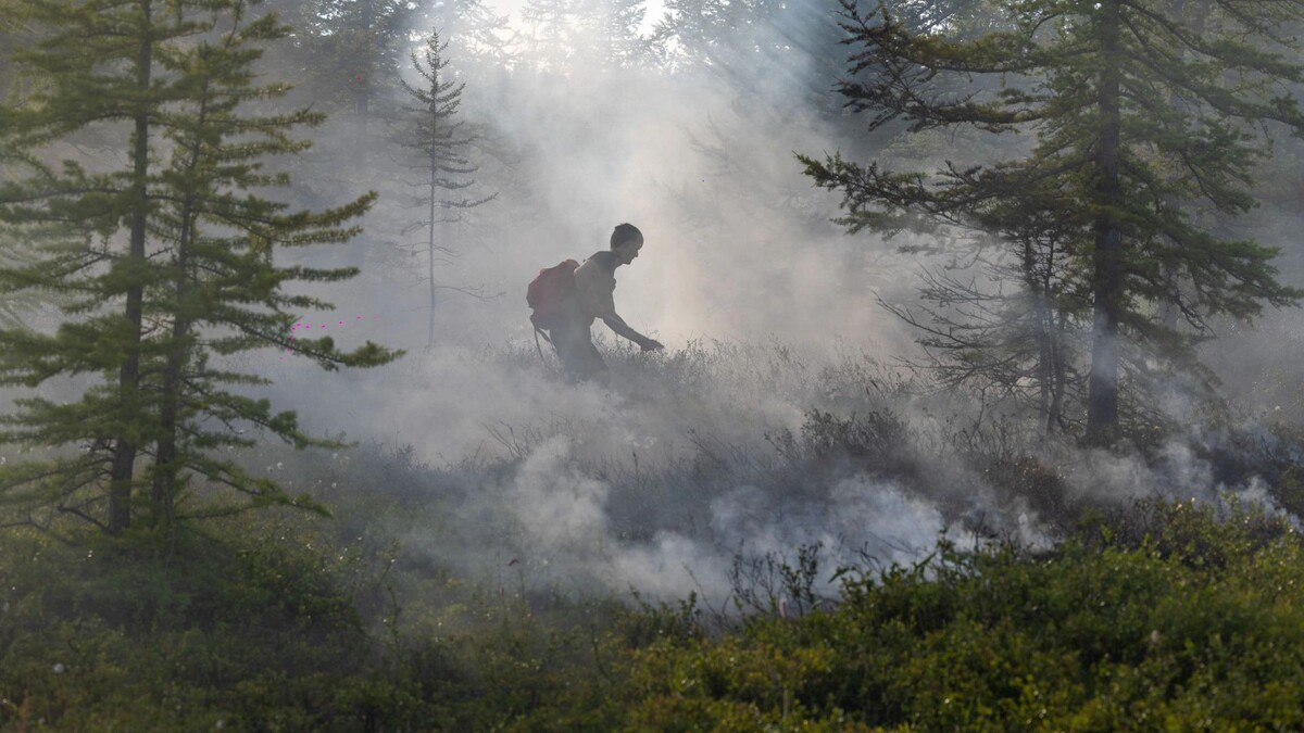    Фото: Юлия Чудинова/«Ямал-Медиа»