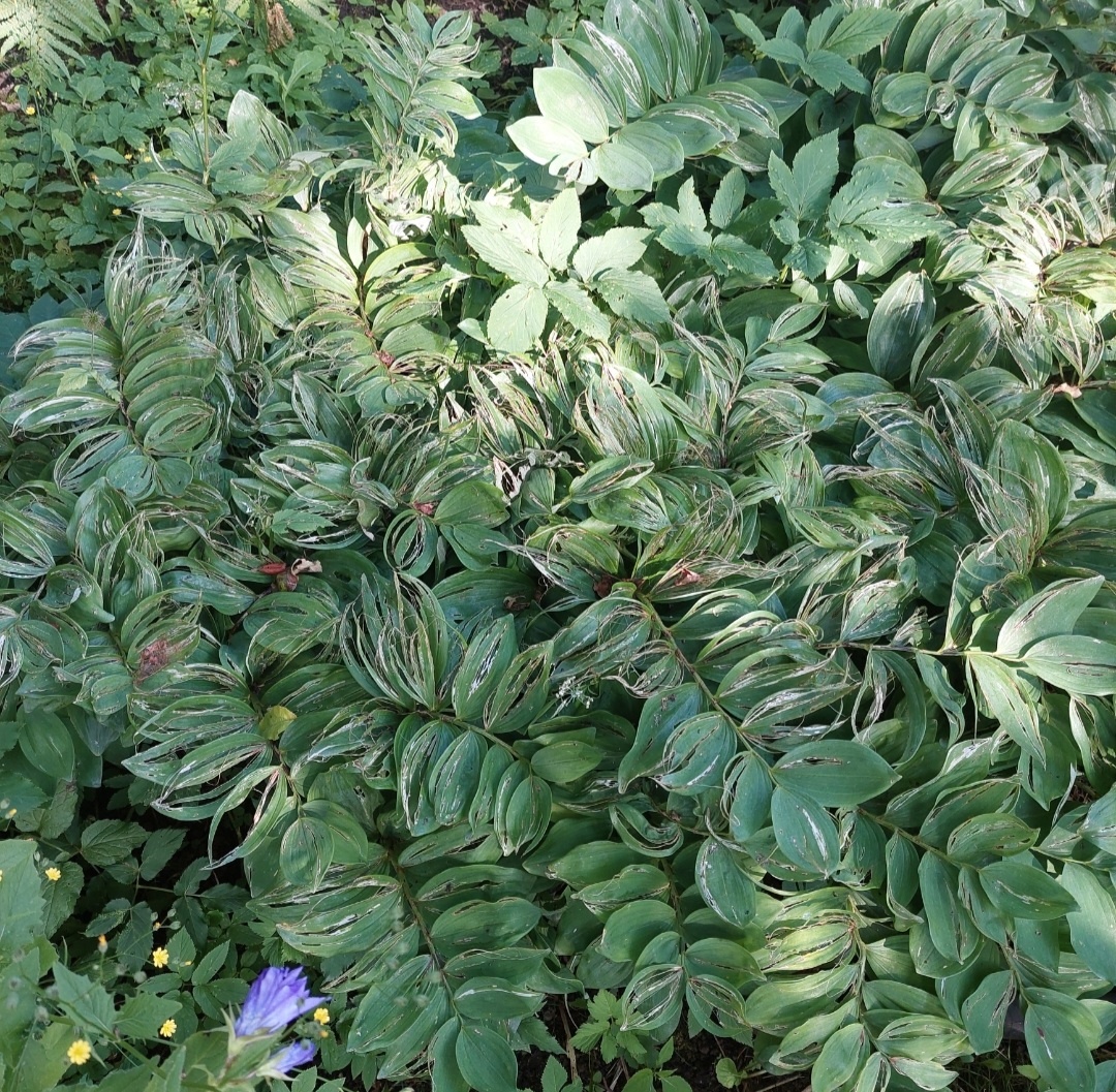 Фото автора.