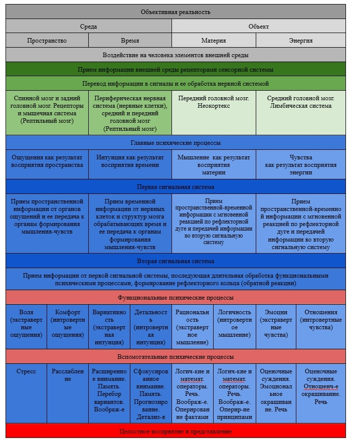 Место логичности в психике