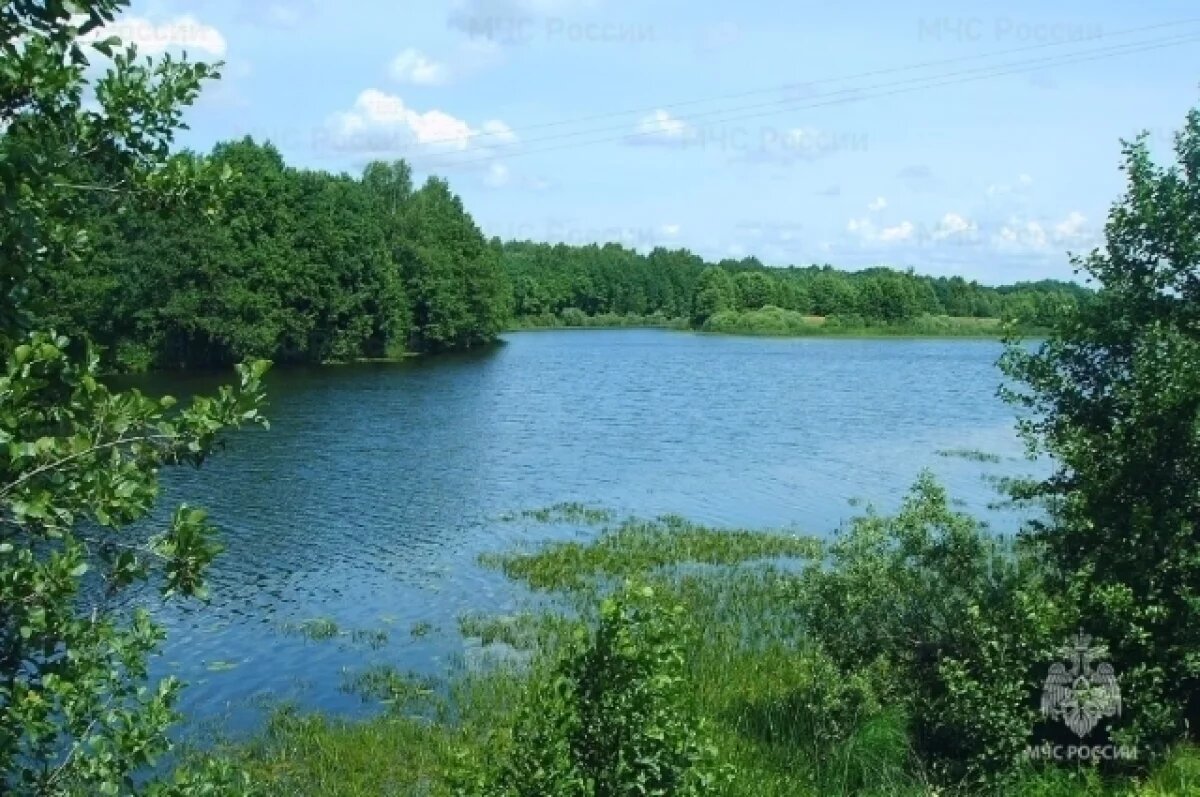    Пожилой мужчина утонул в озере в Унечском районе Брянской области