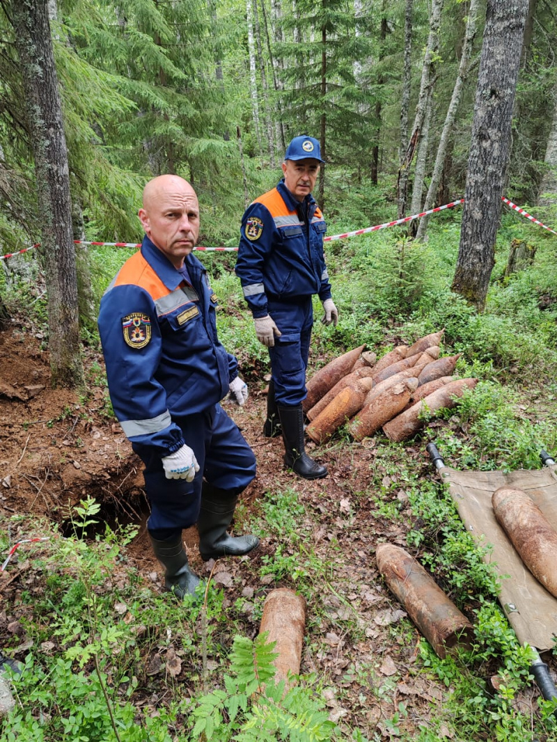    Гигантские снаряды нашли в лесу КарелииГоскомитет Карелии по ОЖ и БН