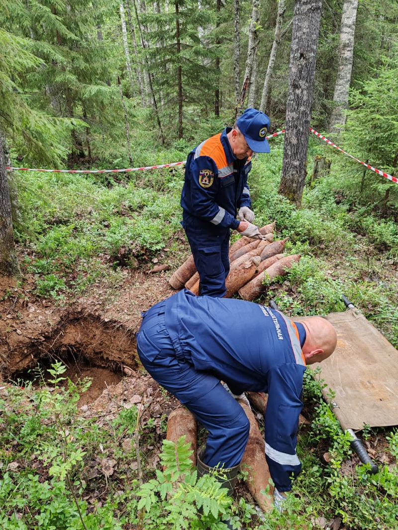    Гигантские снаряды нашли в лесу КарелииГоскомитет Карелии по ОЖ и БН