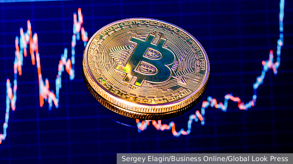     Фото: Sergey Elagin/Business Online/Global Look Press   
 Текст: Ольга Самофалова