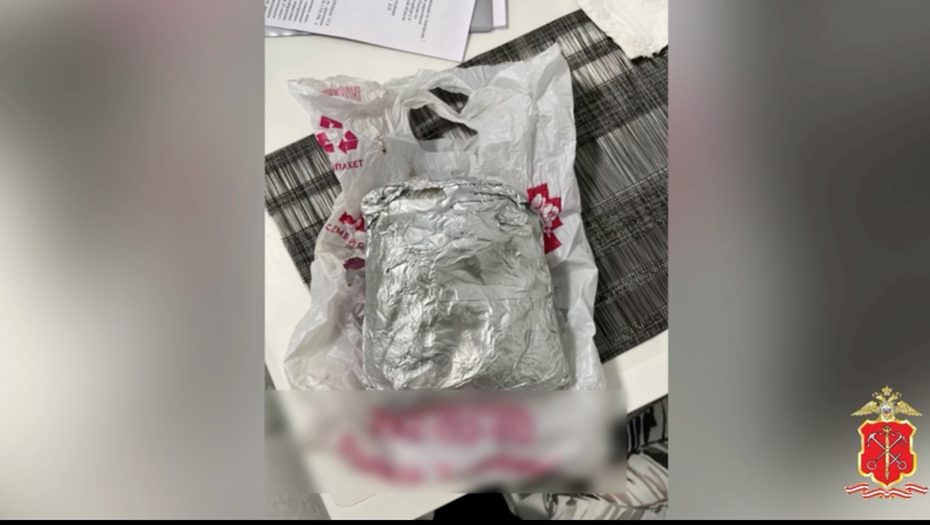    Автор фото: Скриншот видео пресс-службы МВД по Петербургу