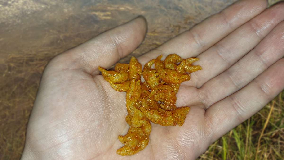 На фото видно, как эти куски соевого мяса блестят от масла