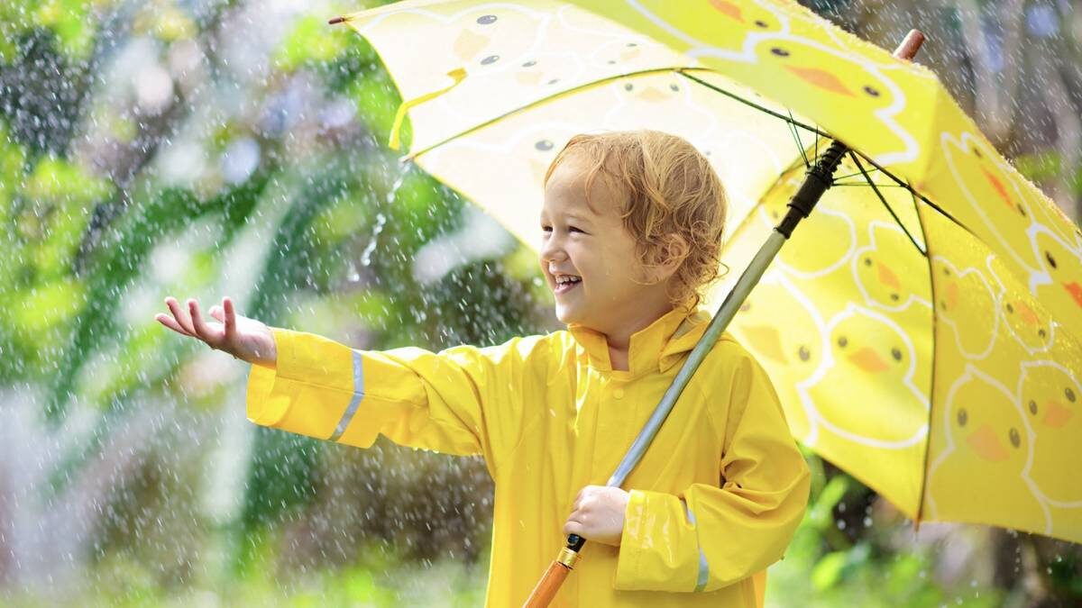    Фото: Shutterstock