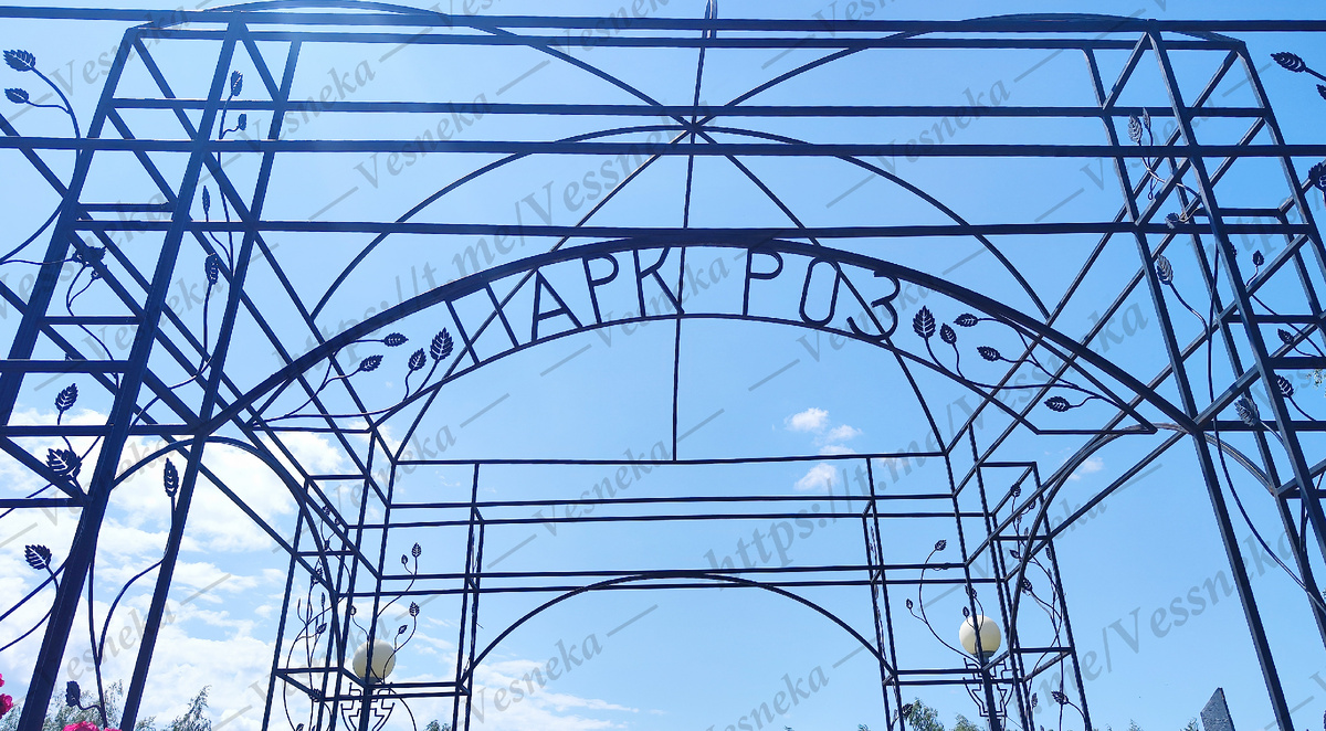 Фото автора