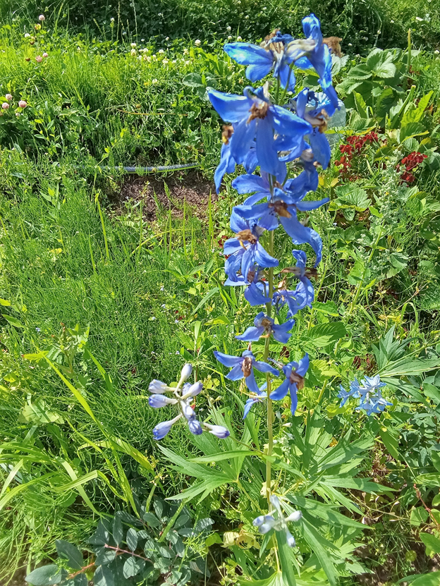 Личное фото