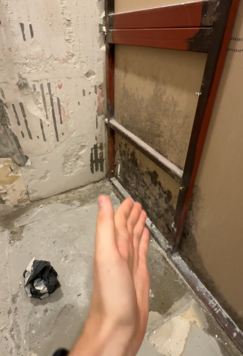 Плесень на гипсокартоне