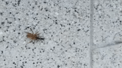 Видео Экоцентр "Яуза"