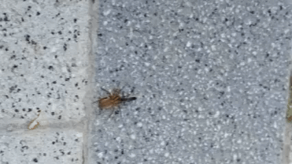 Видео экоцентр "Яуза"