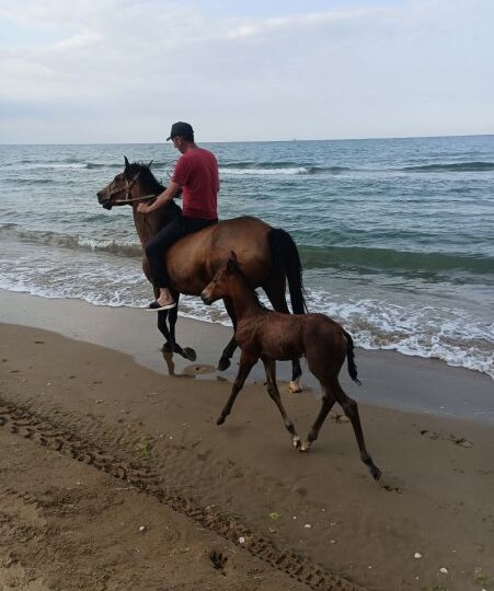 Туристы нашли новое место для отдыха в Дагестане с чистым морем и малым количеством людей