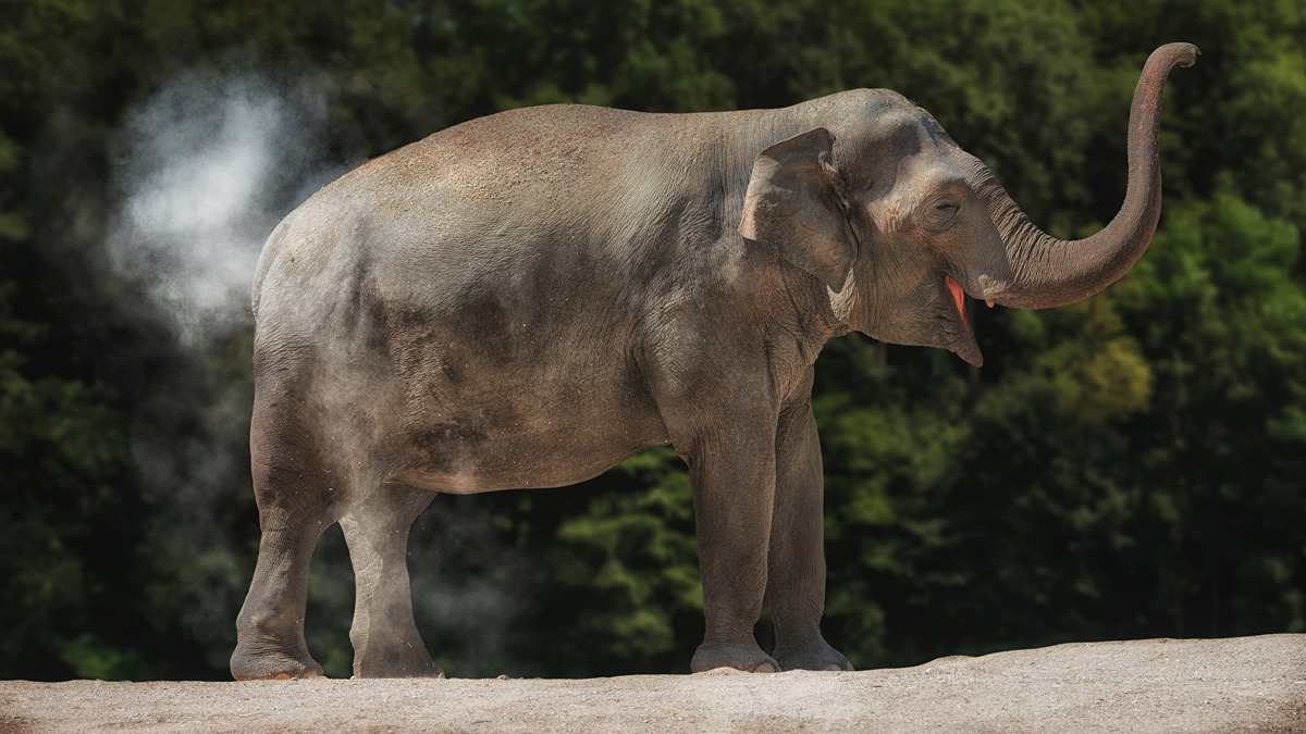 Фото с сайта: https://megavtogal.com/45-foto/foto-vaginy-vblizi.html