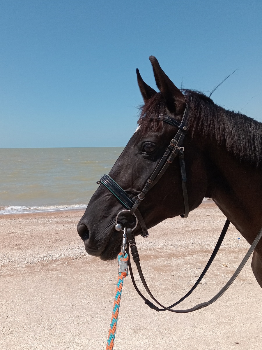 Вот такая красивая работа