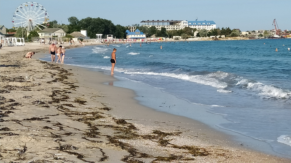Водоросли свеженькие,только из моря.
