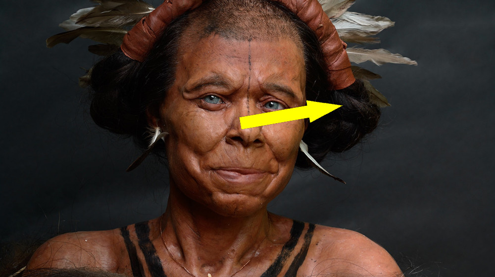    Древняя женщина из Каменного века: потрясающая реконструкция из Бельгии раскрывает тайны прошлого