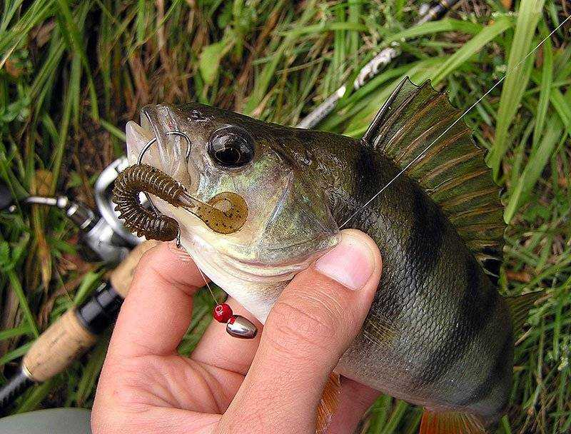 Фото с сайта: https://molkom-kazan.ru