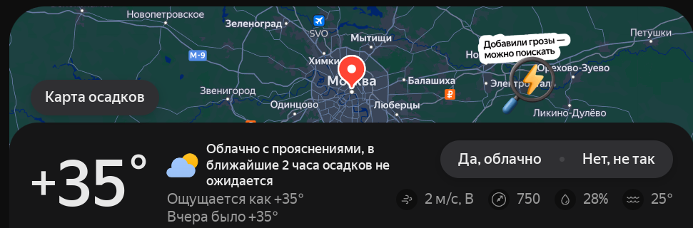 Рис. 2 Погода в один из июльских дней в Москве