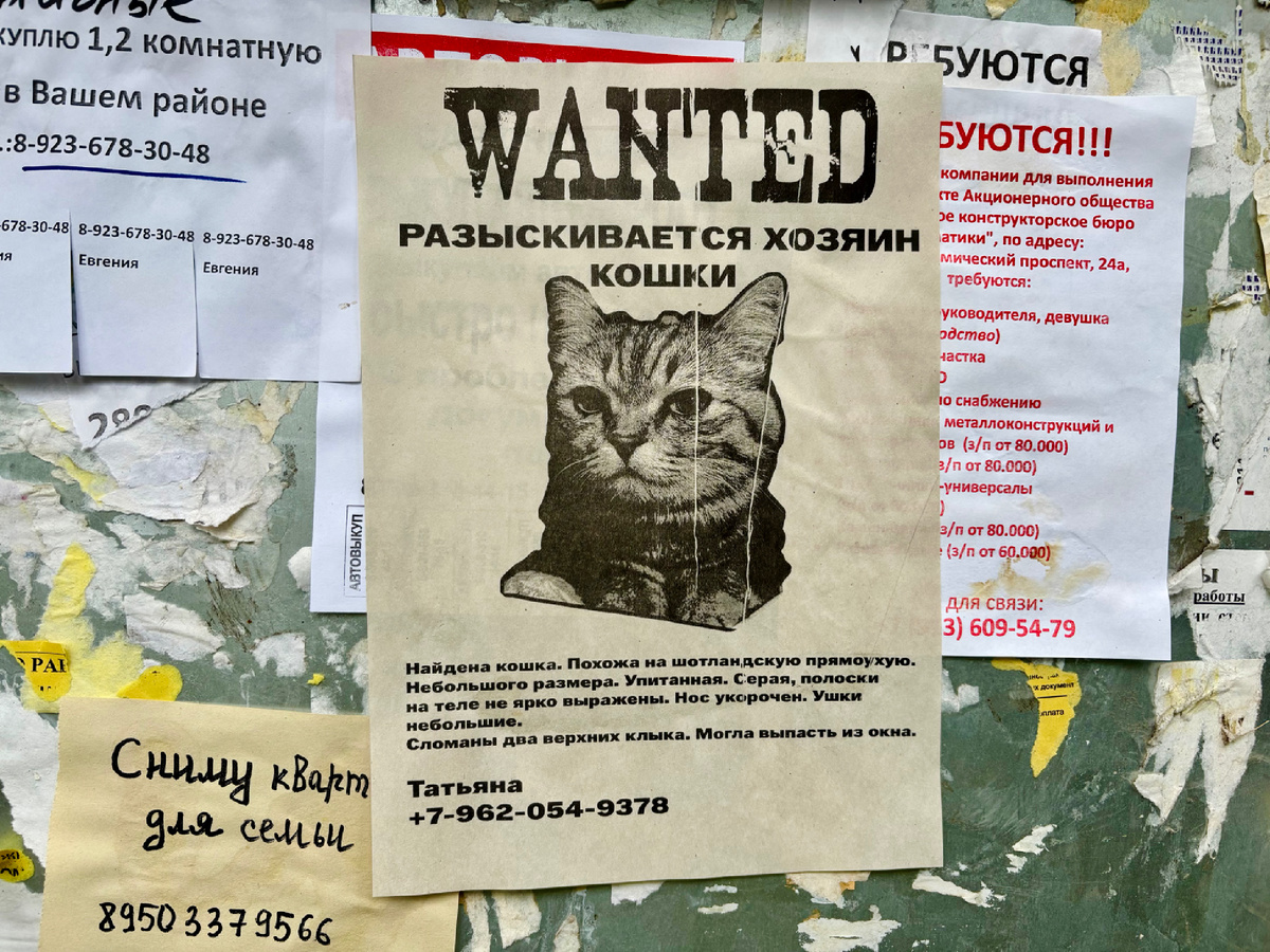 Вот так выглядели объявления